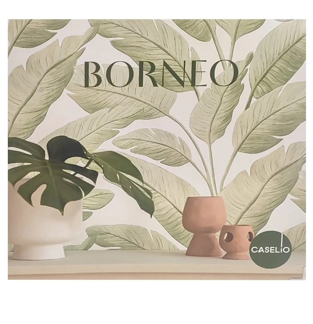 Borneo